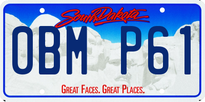 SD license plate 0BMP61