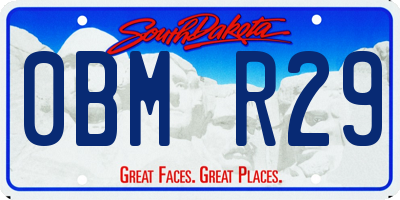 SD license plate 0BMR29