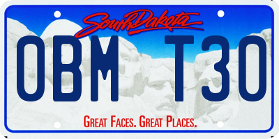 SD license plate 0BMT30