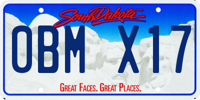 SD license plate 0BMX17