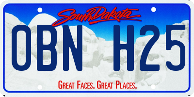SD license plate 0BNH25