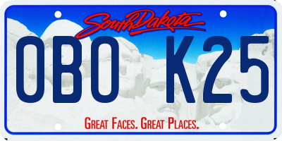 SD license plate 0BOK25