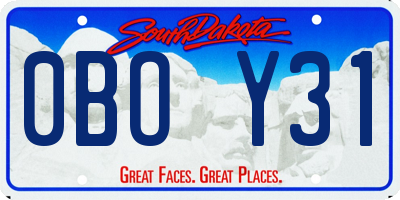 SD license plate 0BOY31