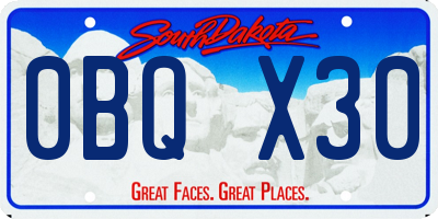 SD license plate 0BQX30