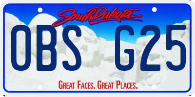 SD license plate 0BSG25