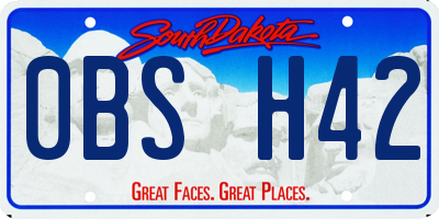 SD license plate 0BSH42