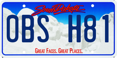 SD license plate 0BSH81