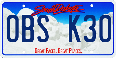 SD license plate 0BSK30