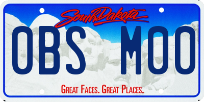 SD license plate 0BSM00