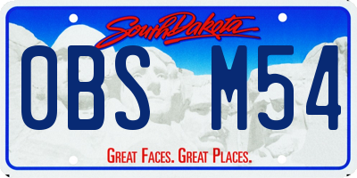 SD license plate 0BSM54