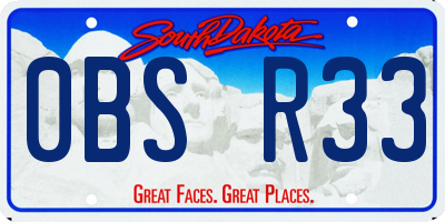 SD license plate 0BSR33