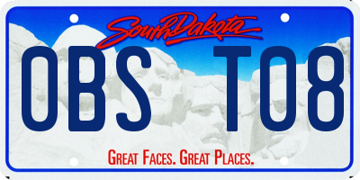 SD license plate 0BST08