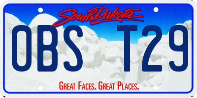 SD license plate 0BST29