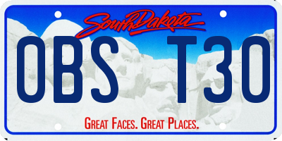 SD license plate 0BST30