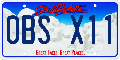 SD license plate 0BSX11