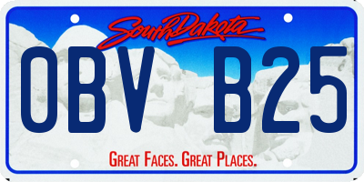SD license plate 0BVB25