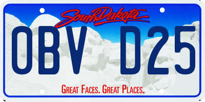 SD license plate 0BVD25
