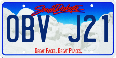 SD license plate 0BVJ21