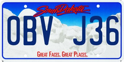 SD license plate 0BVJ36