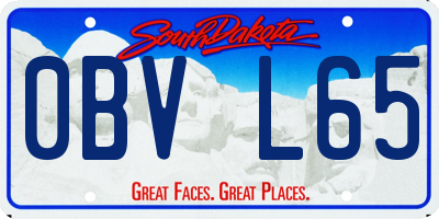 SD license plate 0BVL65