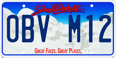 SD license plate 0BVM12