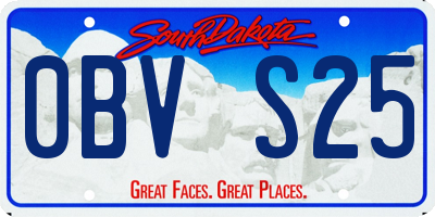 SD license plate 0BVS25