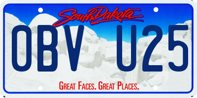 SD license plate 0BVU25