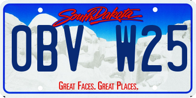 SD license plate 0BVW25