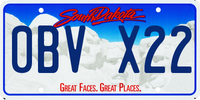 SD license plate 0BVX22