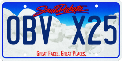 SD license plate 0BVX25