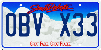 SD license plate 0BVX33