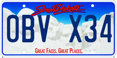 SD license plate 0BVX34