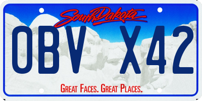 SD license plate 0BVX42