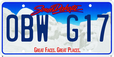 SD license plate 0BWG17