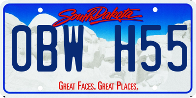 SD license plate 0BWH55
