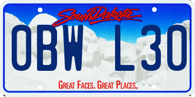 SD license plate 0BWL30