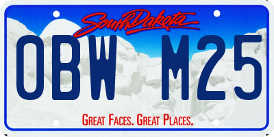 SD license plate 0BWM25