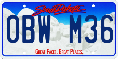SD license plate 0BWM36