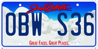 SD license plate 0BWS36