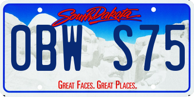SD license plate 0BWS75