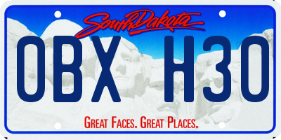 SD license plate 0BXH30