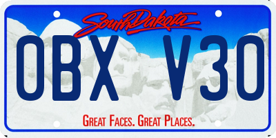 SD license plate 0BXV30