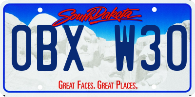 SD license plate 0BXW30