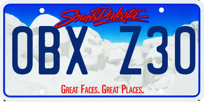 SD license plate 0BXZ30
