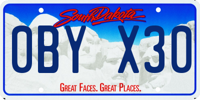SD license plate 0BYX30