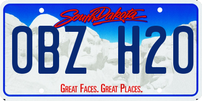 SD license plate 0BZH20