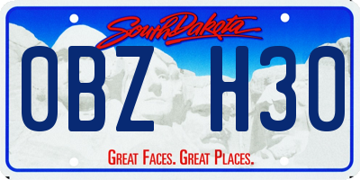 SD license plate 0BZH30