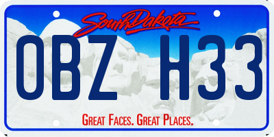 SD license plate 0BZH33