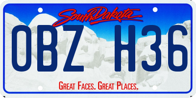 SD license plate 0BZH36