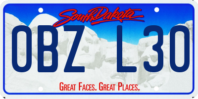 SD license plate 0BZL30